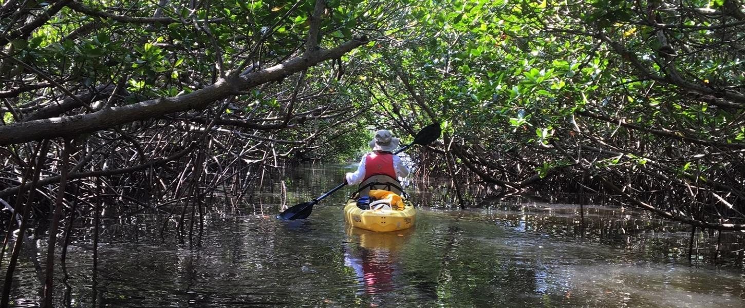 Kayak Trail 1