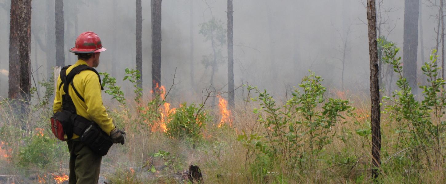 Watching a prescribed fire.