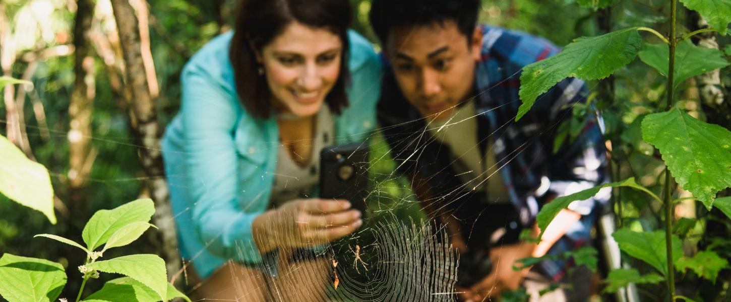 A couple leans in to take a picture of a spider and spider web in the foreground.