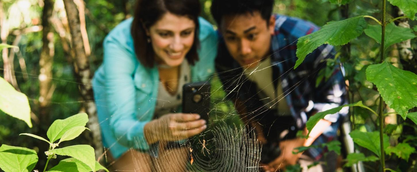 A couple leans in to take a picture of a spider and spider web in the foreground. 