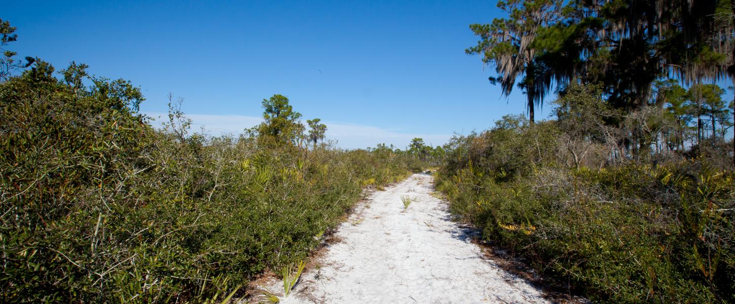 Sugar Trail at Lake June-in-Winter Scrub Preserve State Park