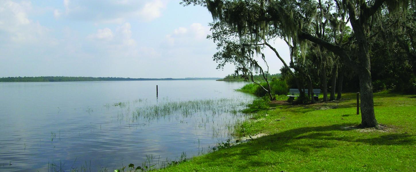 A view of Lake Manatee.