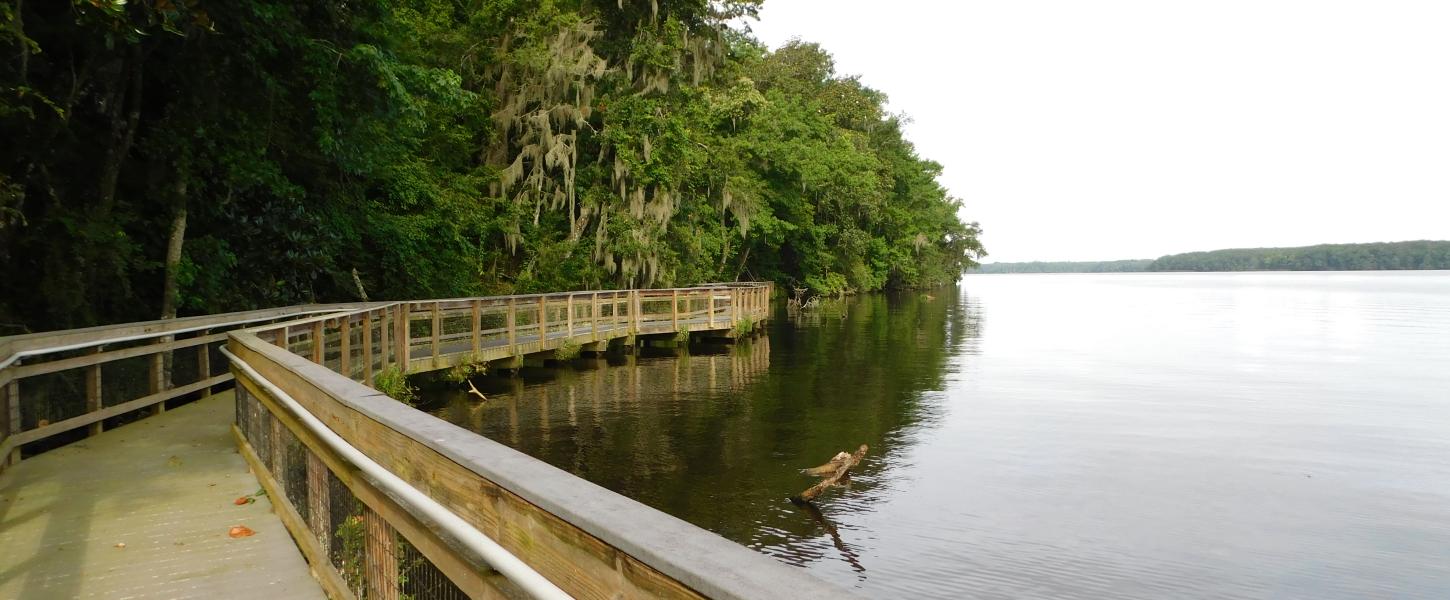 Escape To Serenity: Your Guide To Lake Talquin State Park