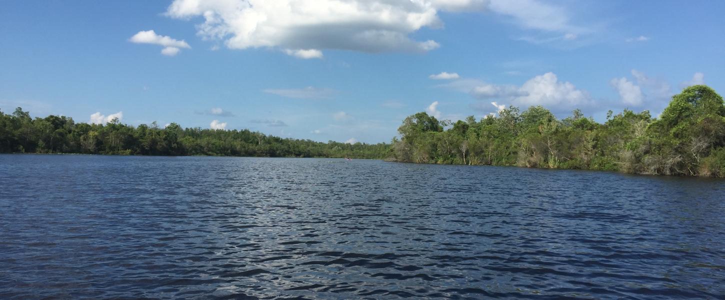 Lake Griffin