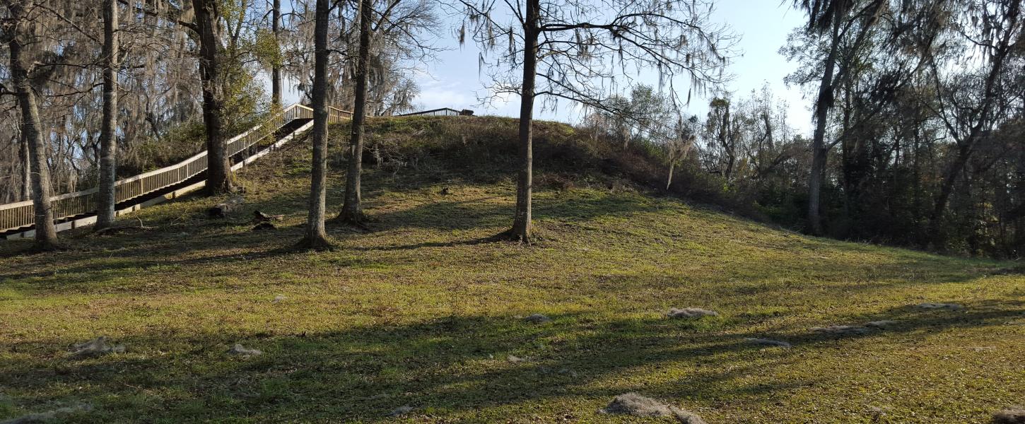 Large Mound at Lake Jackson Mounds Archaeological State Park