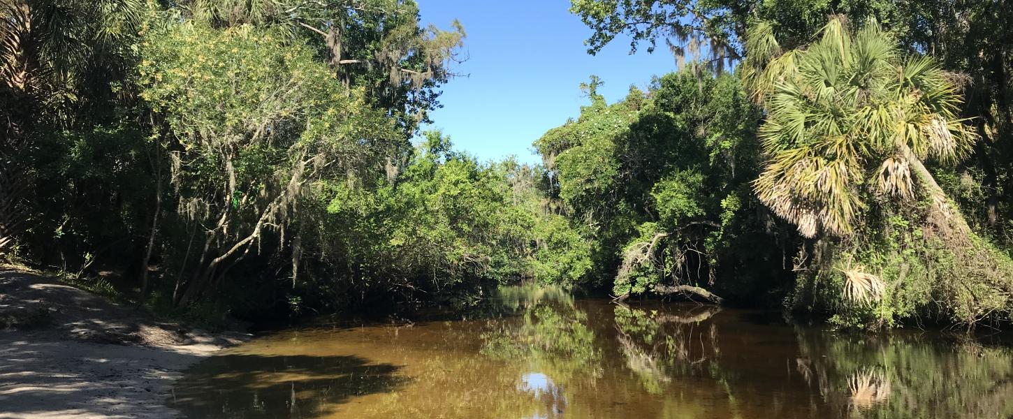 A view of the Little Manatee River.