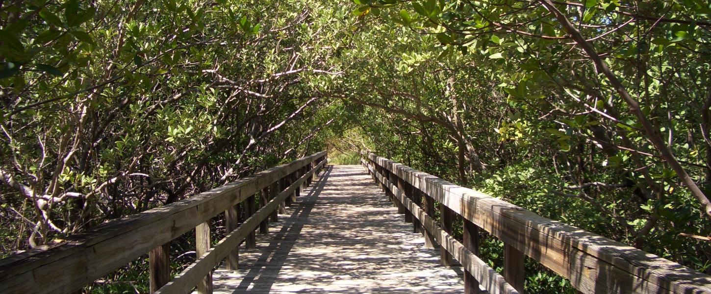 Lovers Key Boardwalk