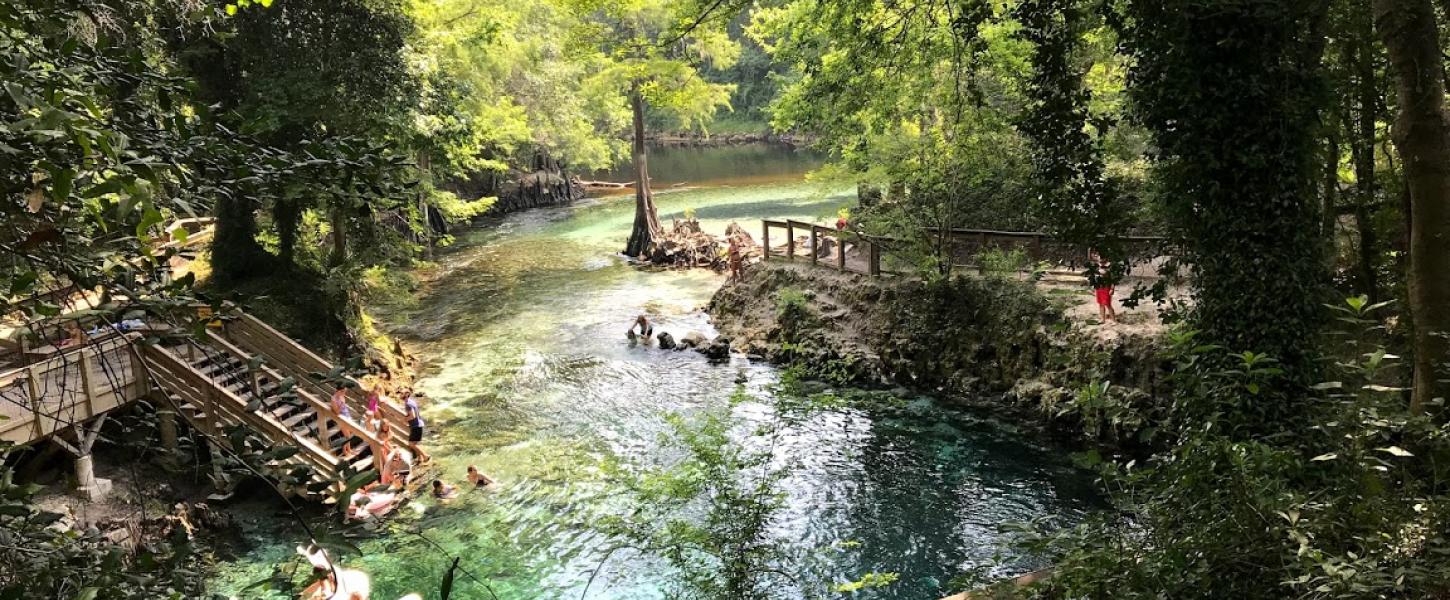 Overlook view of Madison Blue Spring with people swimming