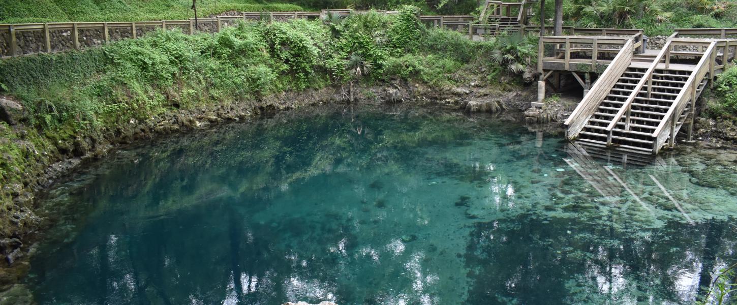 Photo of Madison Blue Spring