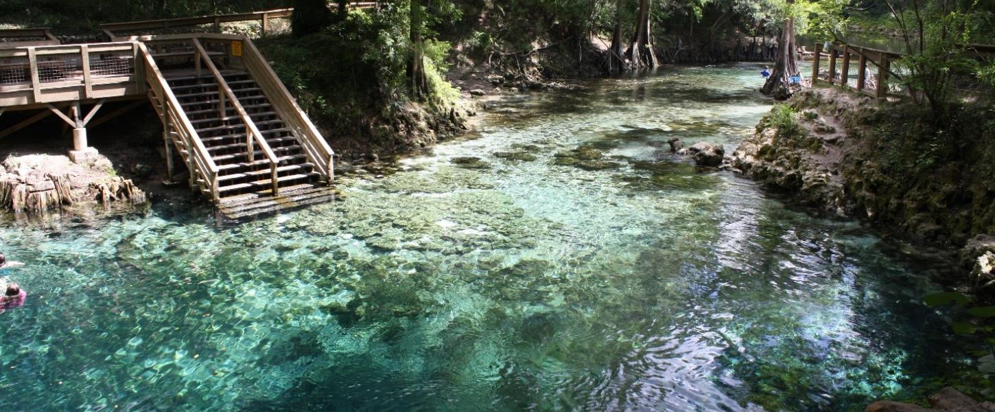 View of Madison Spring with good water clarity