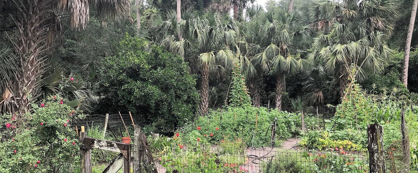 The garden at Marjorie Kinnan Rawlings HIstoric State Park