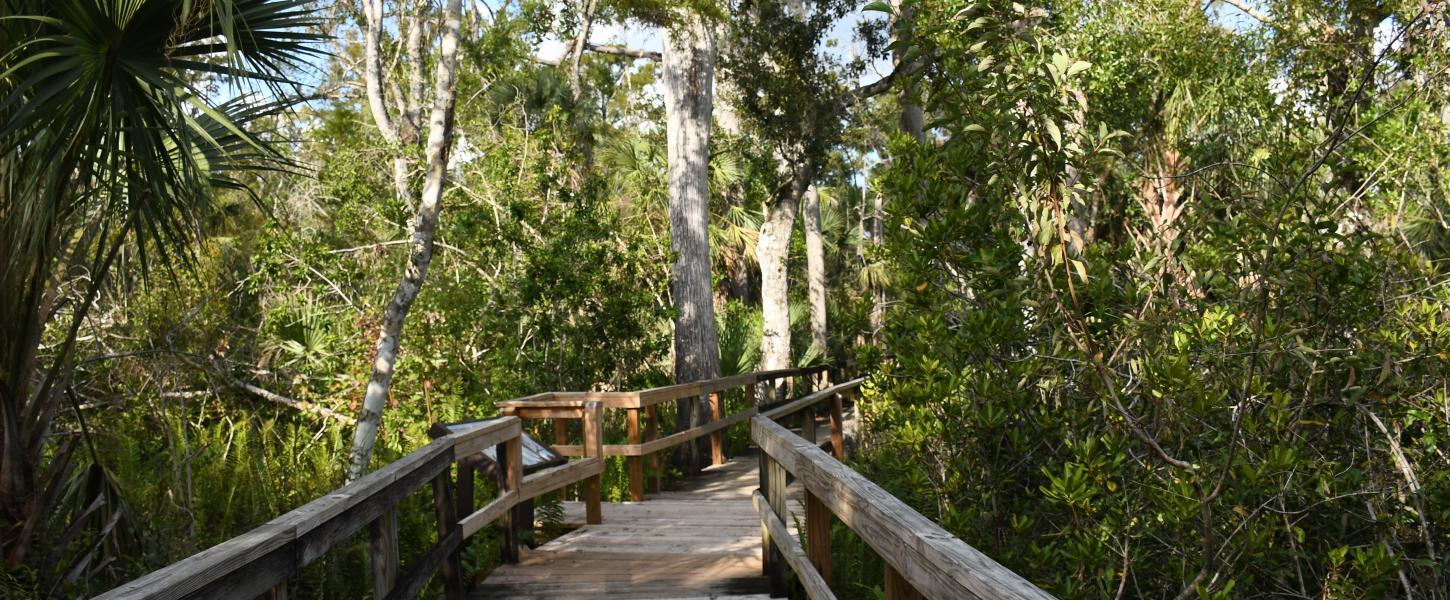 A view of the boardwalk.