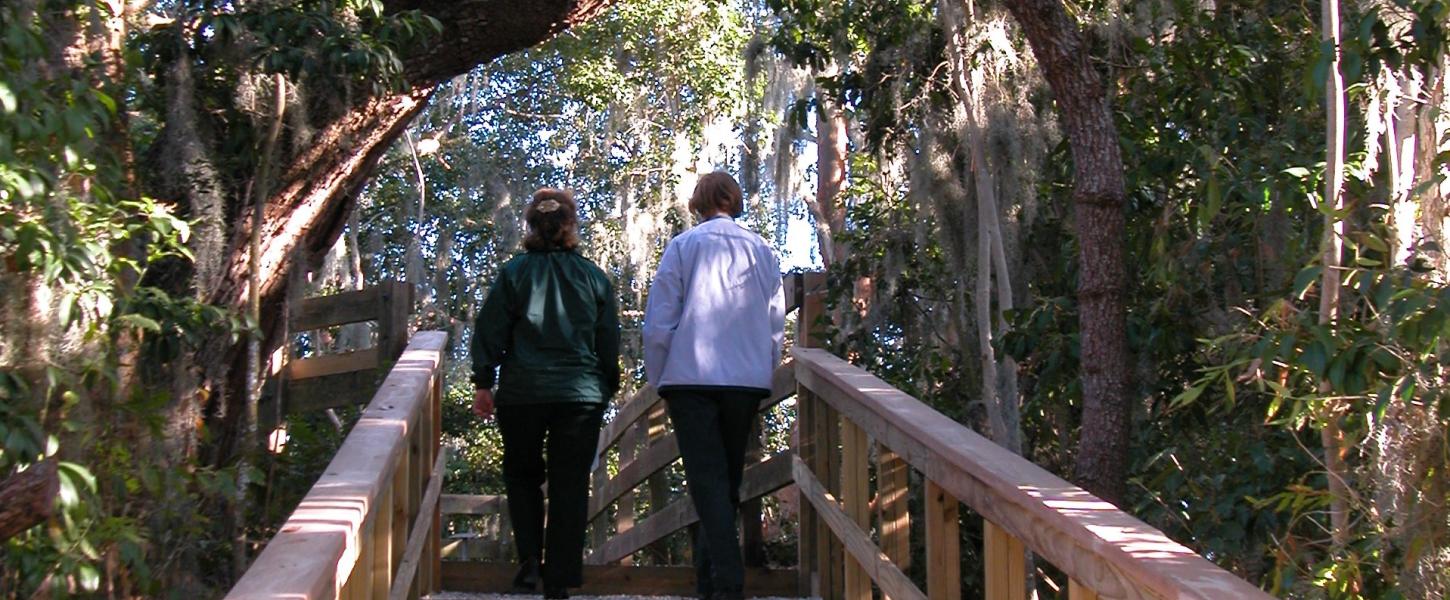 A view of two people walking up the stairs towards the mound.