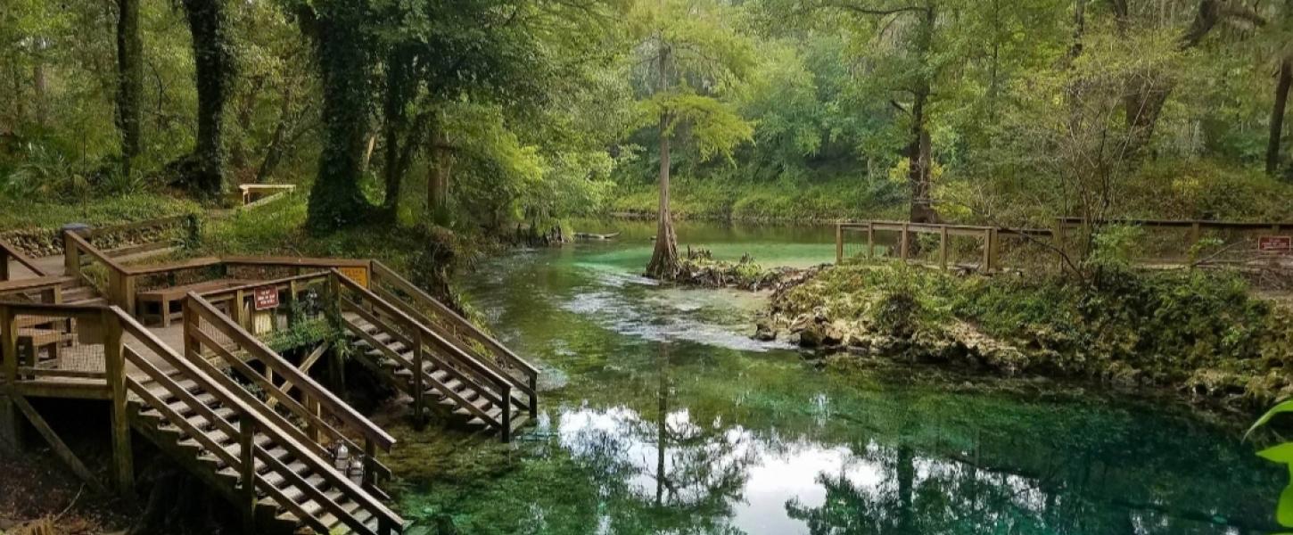 Image of trees and steps leading into Madison Blue Spring.
