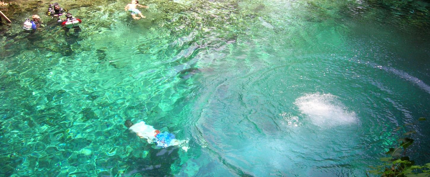 Madison Blue Spring