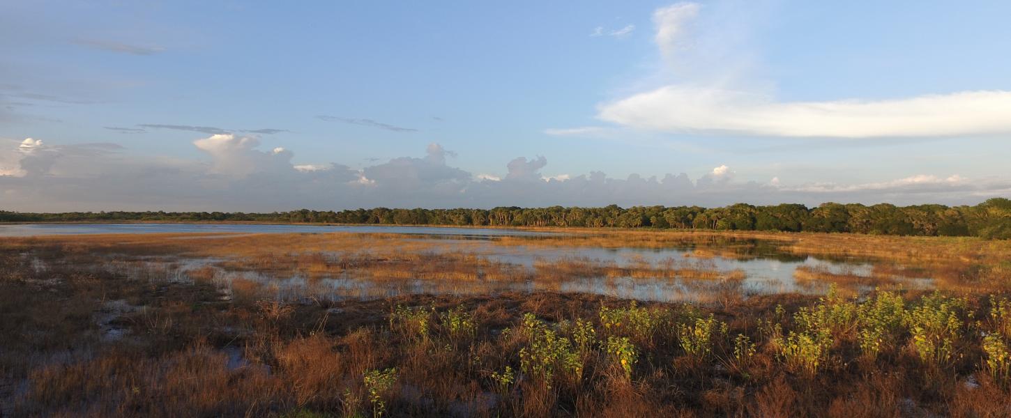 A view of the prairie.
