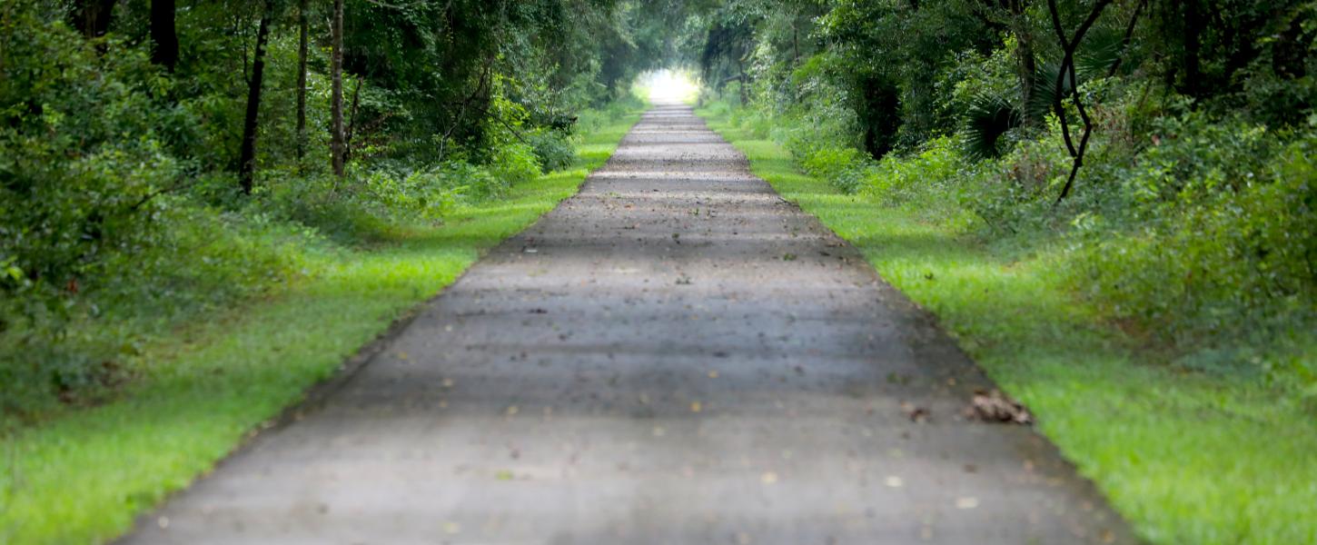 Nature Coast State Trail | Florida State Parks