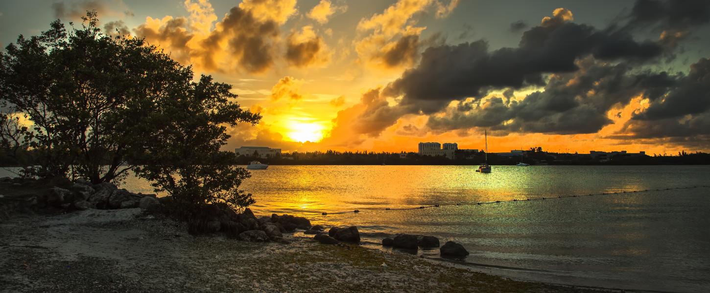 Oleta River