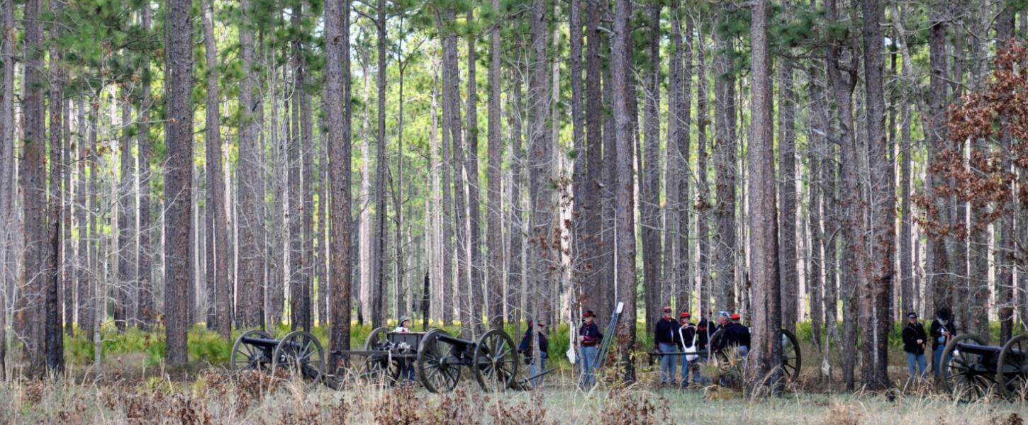 Olustee Battlefield Historic State Park