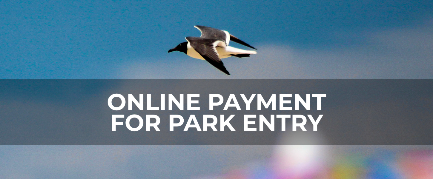 Online Payments for Park Entry