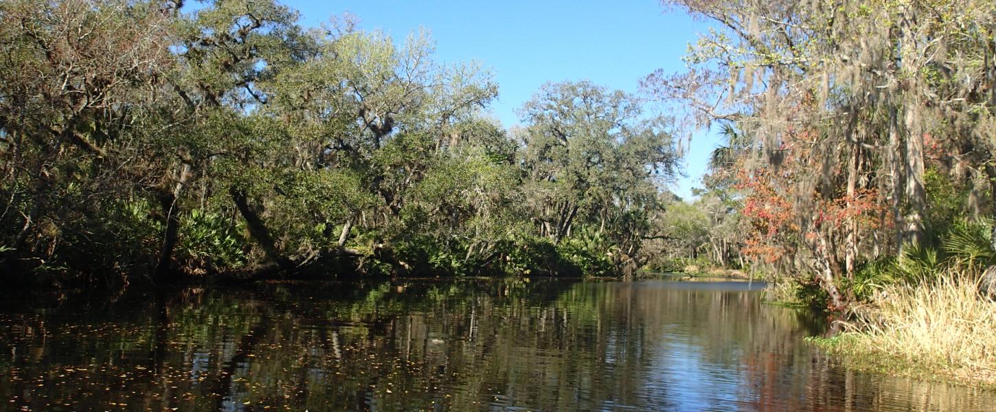 View of Haw Creek