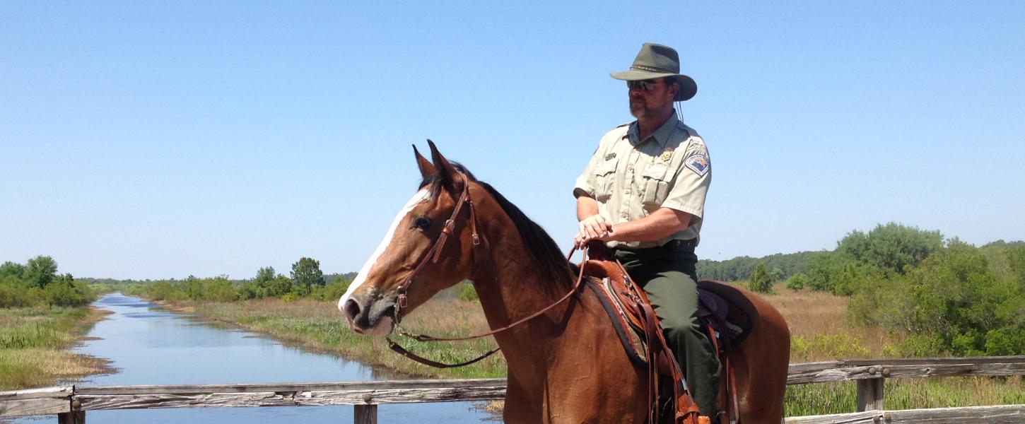 Andy Nolan, Park Manager