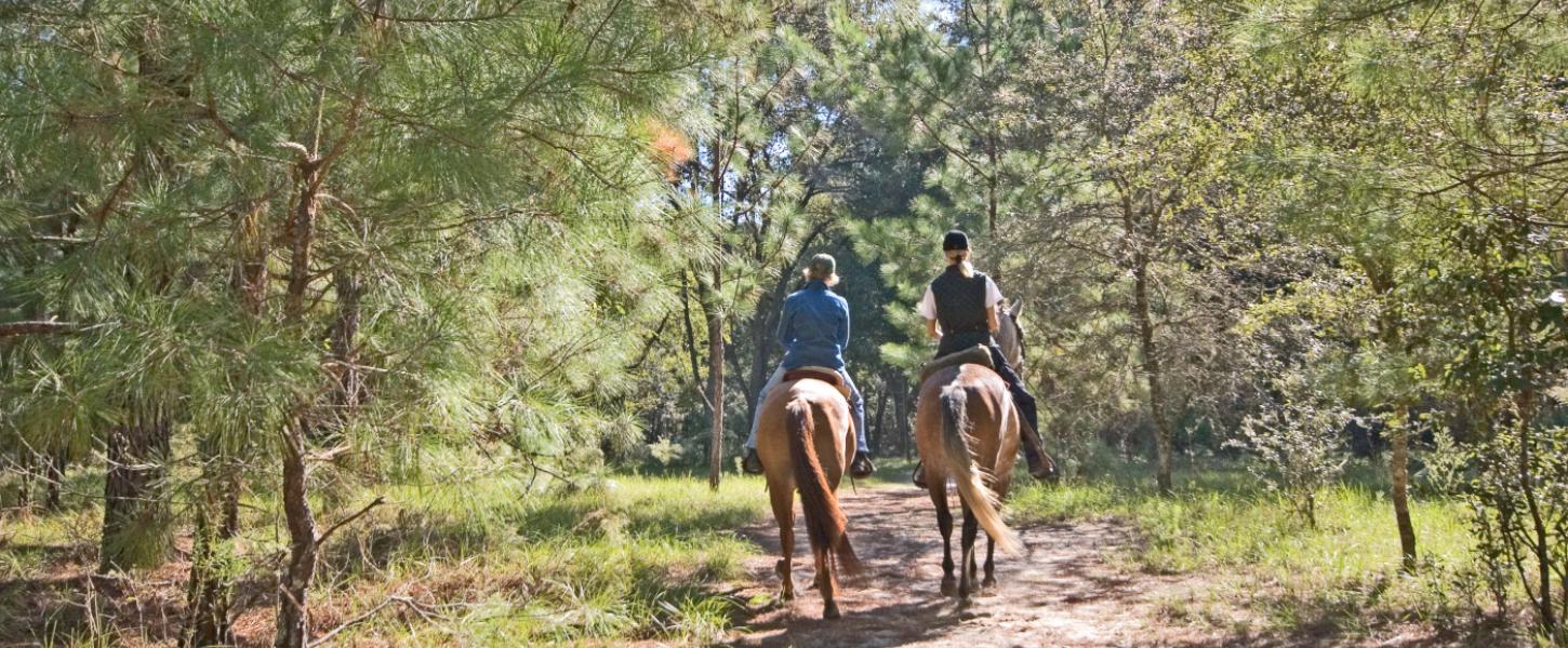 Two women riding the trail on horseback