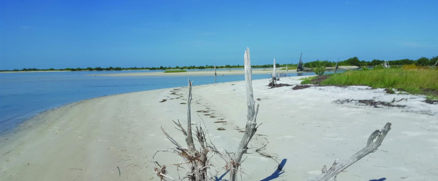 Anclote Key Preserve State Park 