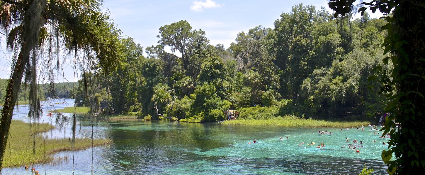 A view of the springs.