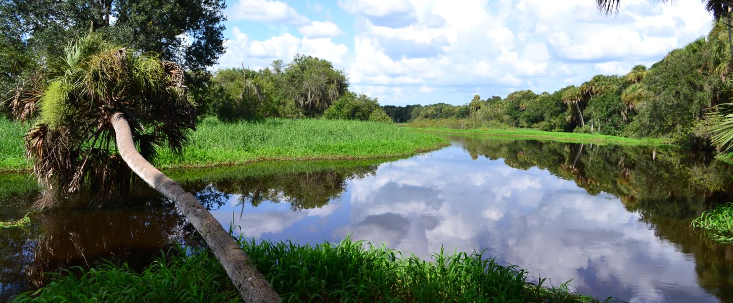 Image result for myakka river state Park