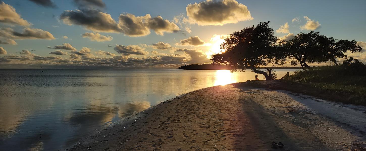 Beach views at Curry Hammock
