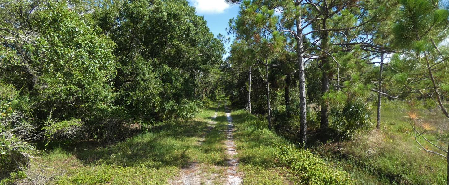 Ditches can be seen on both sides of River Road.