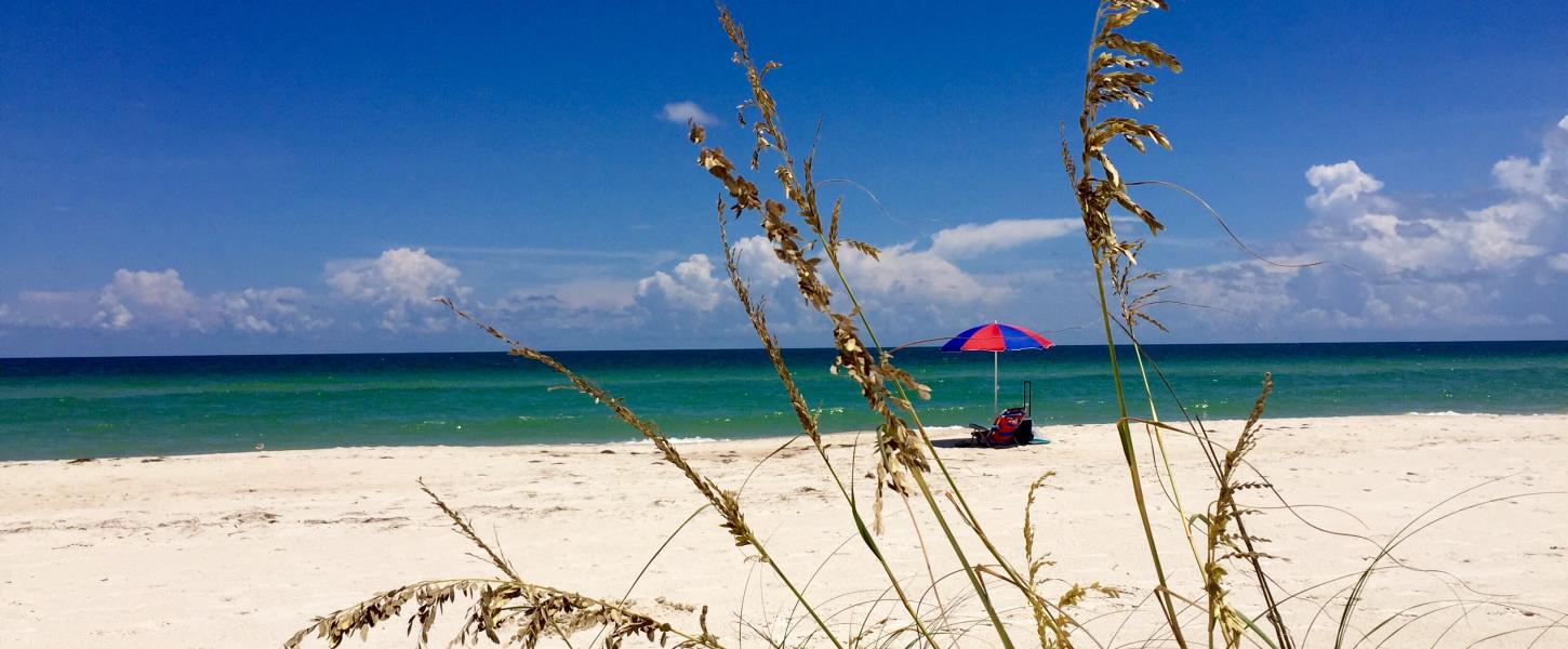 View of Beach and sea oats with vistor under an umbrella