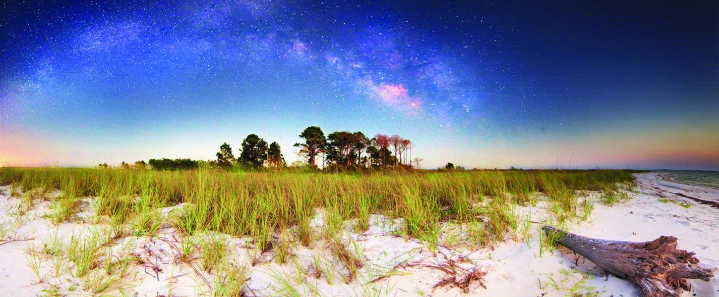 Beach under night sky