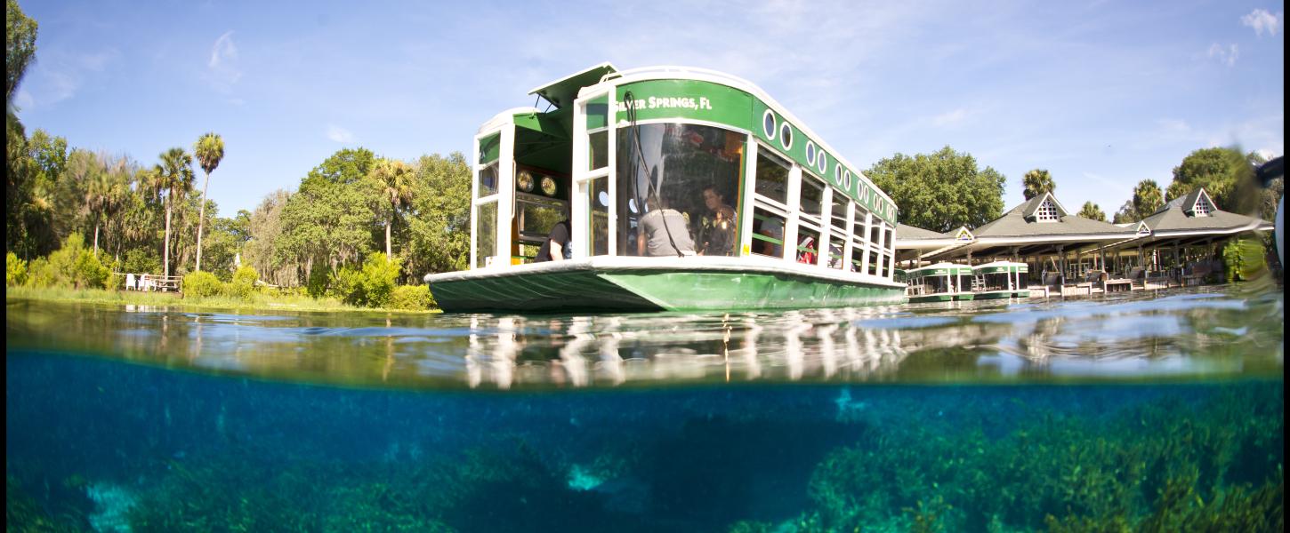 Boat Tours