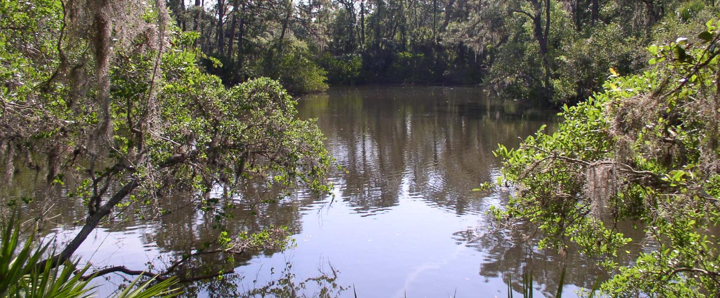 A view of South Creek.