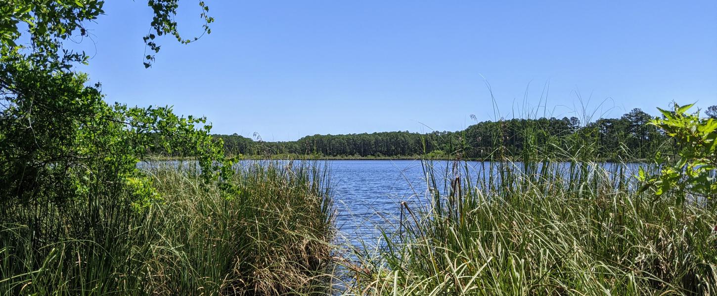 Corn Landing Lake at the Bluffs of St. Teresa