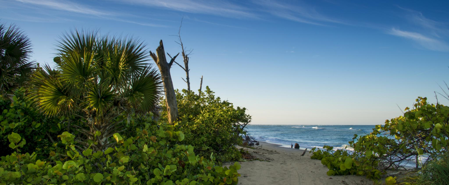 Blind Pass Beach Tide Chart