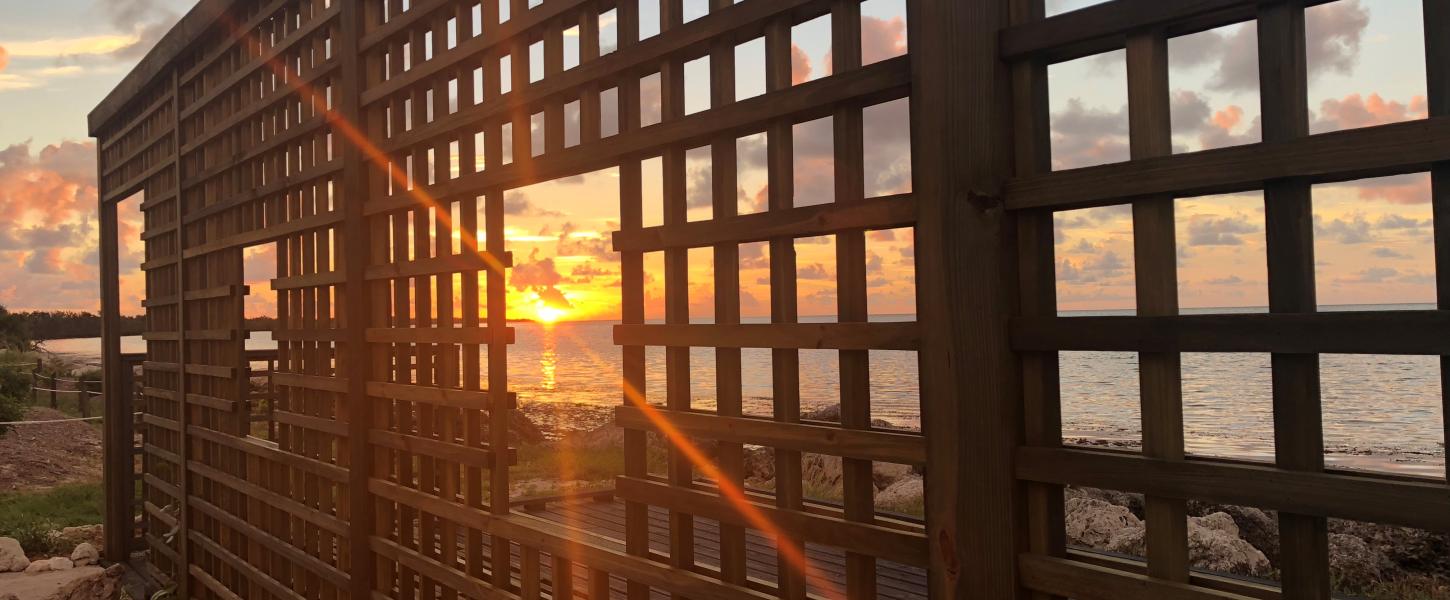 Sunrise along day use area coming through lattice