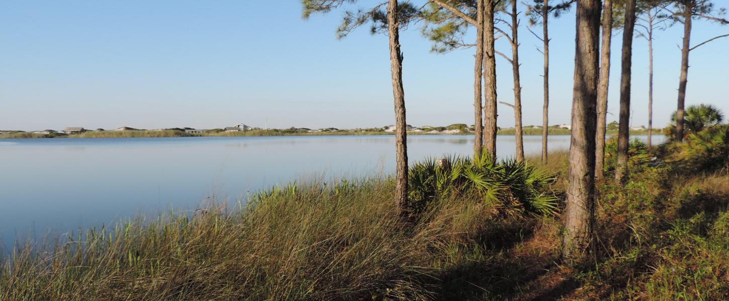 Friends of Grayton Beach State Park and Deer Lake State Parks