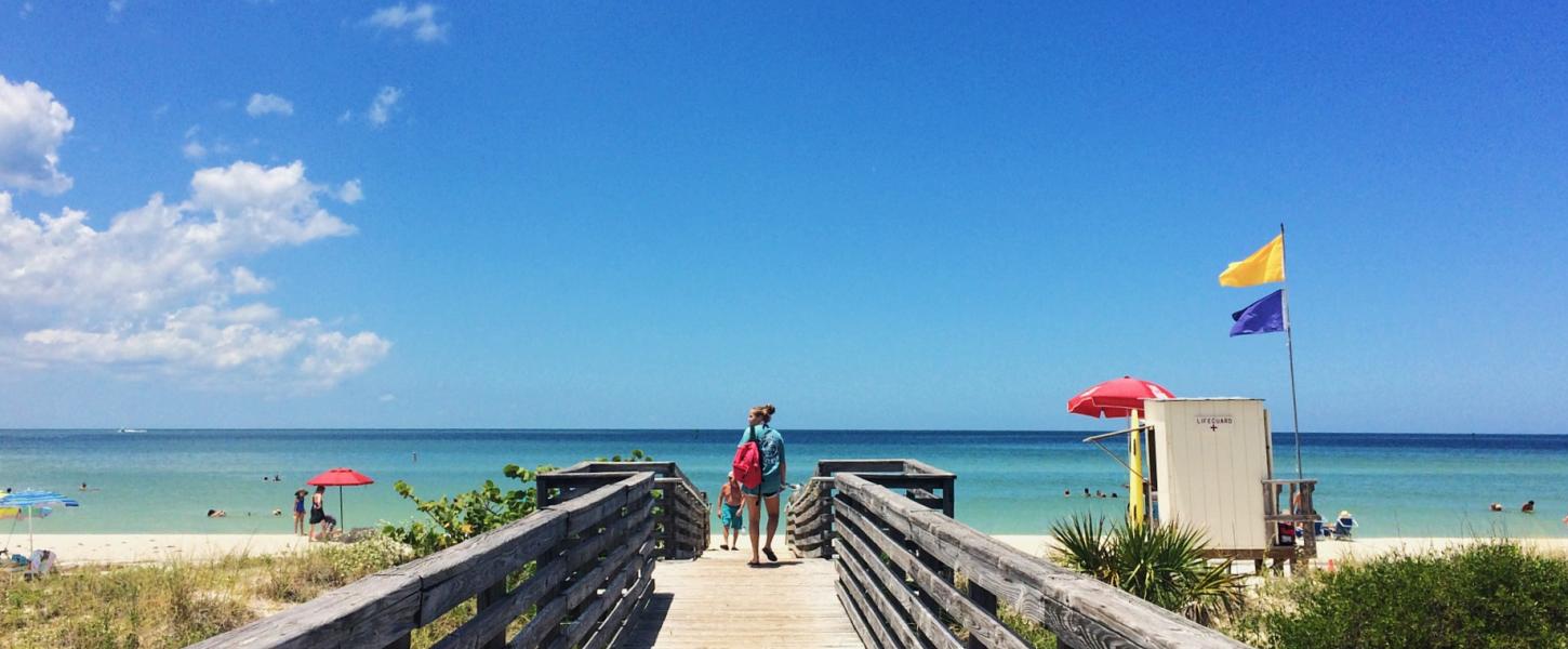 Honeymoon Island State Park Photos