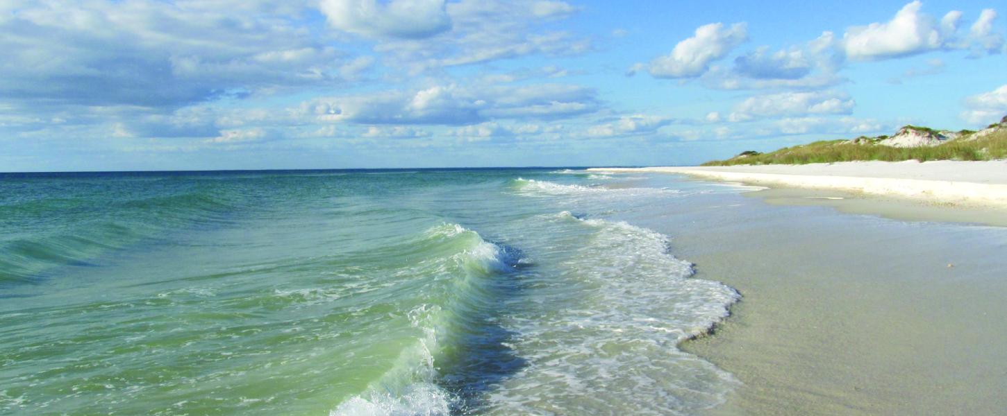 Beach view with wave coming ashore