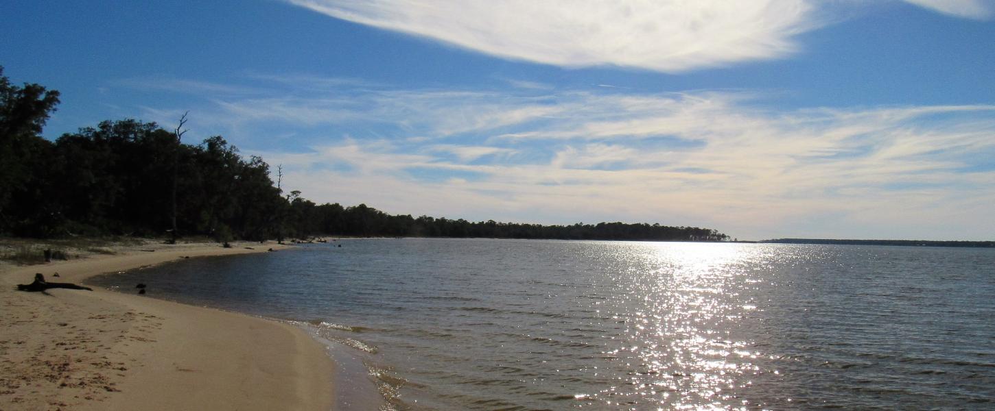 Tarkiln Bayou Preserve State Park