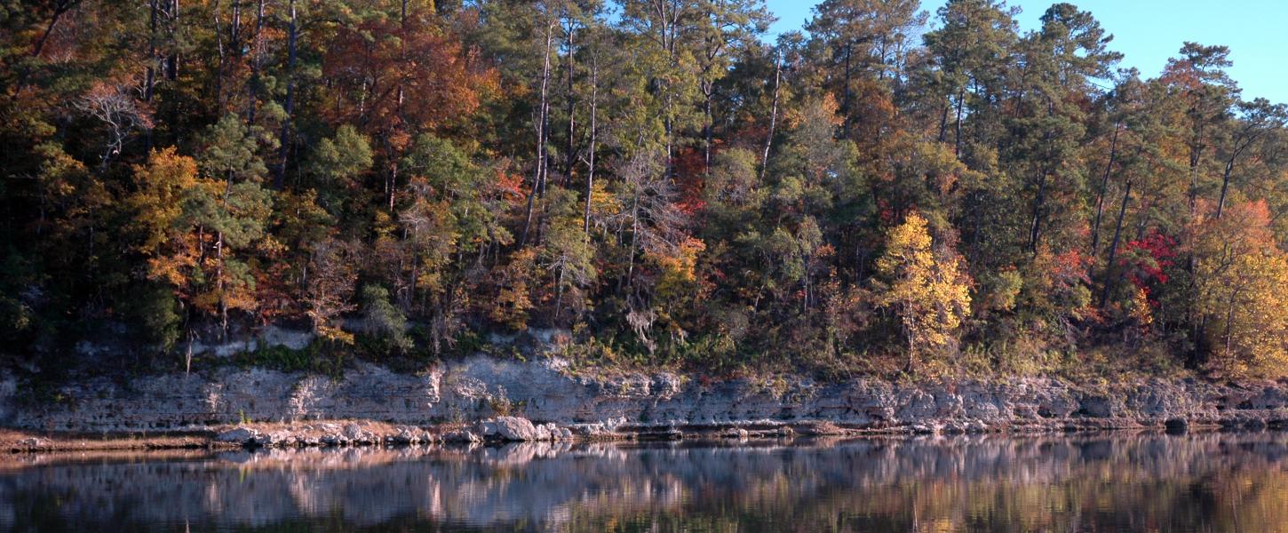 Rock Bluff outcrop along the Apalachicola River