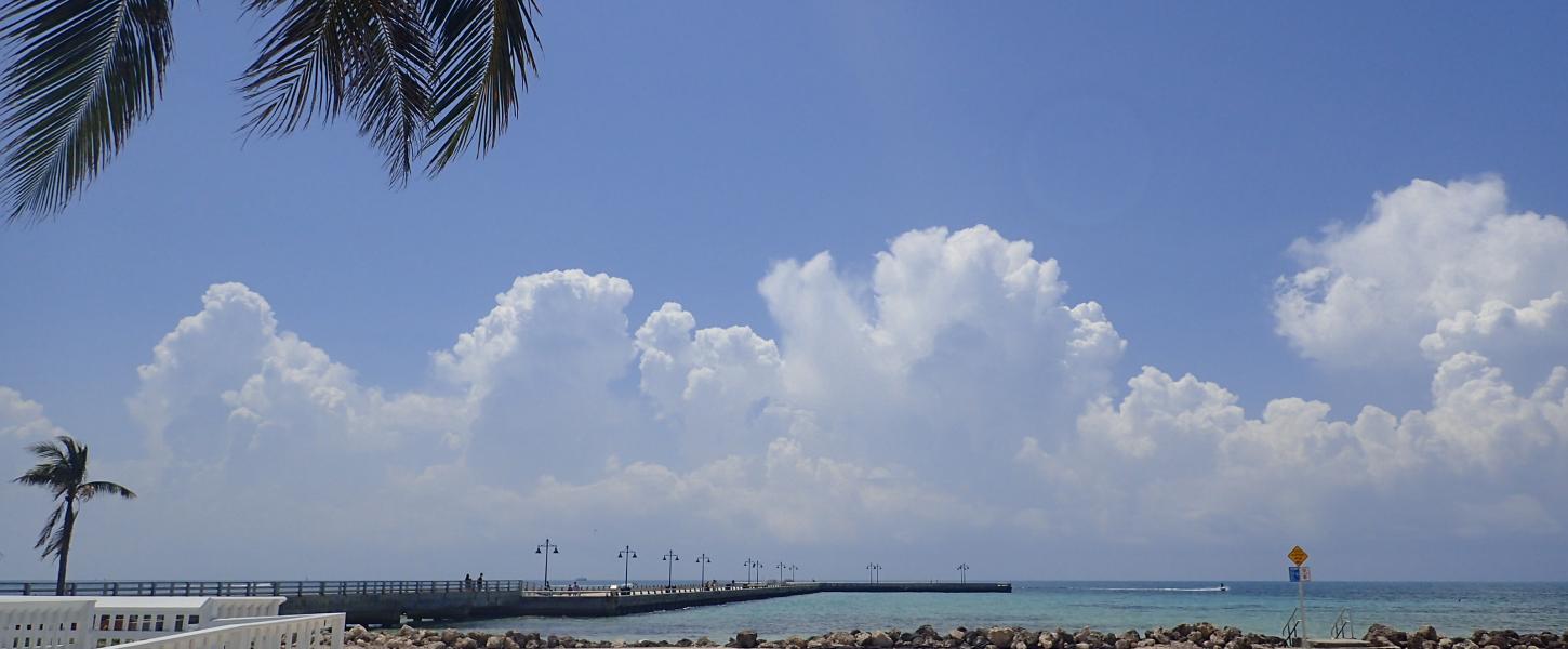 Trail along the beach in Key West - Florida Keys Overseas