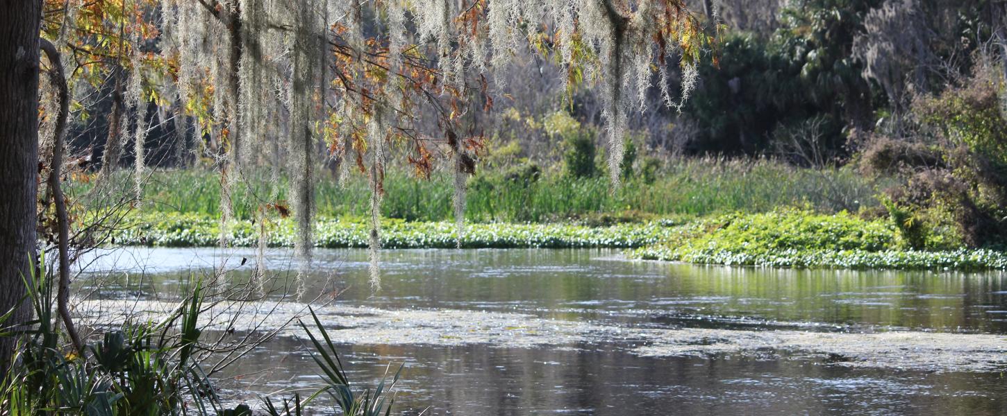 Manager's Message Lower Wekiva River Preserve State Park