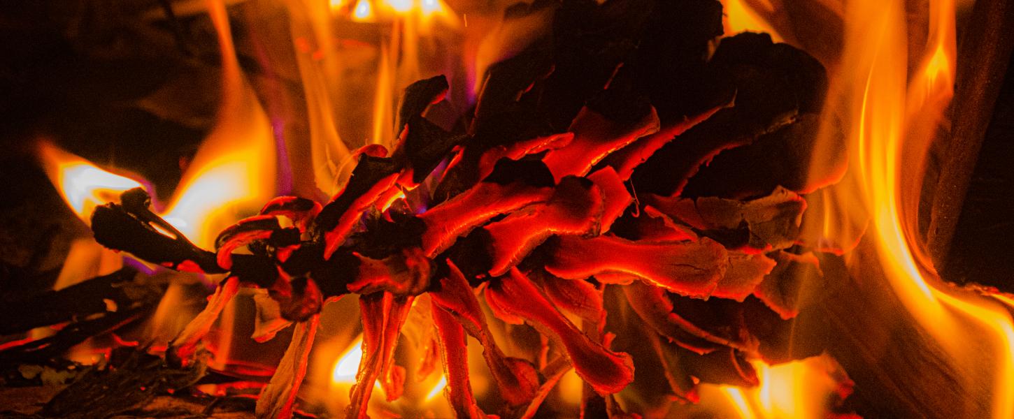 A pinecone glowing orange in a campfire.