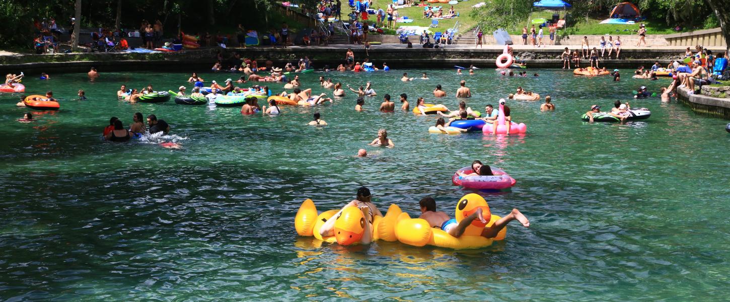 Swimming at Wekiwa Springs