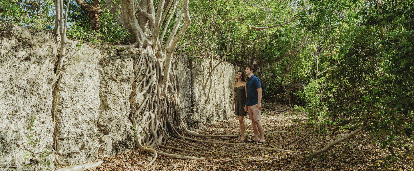 A man and woman admiring a tree growing on the wall of a historic rock quarry.