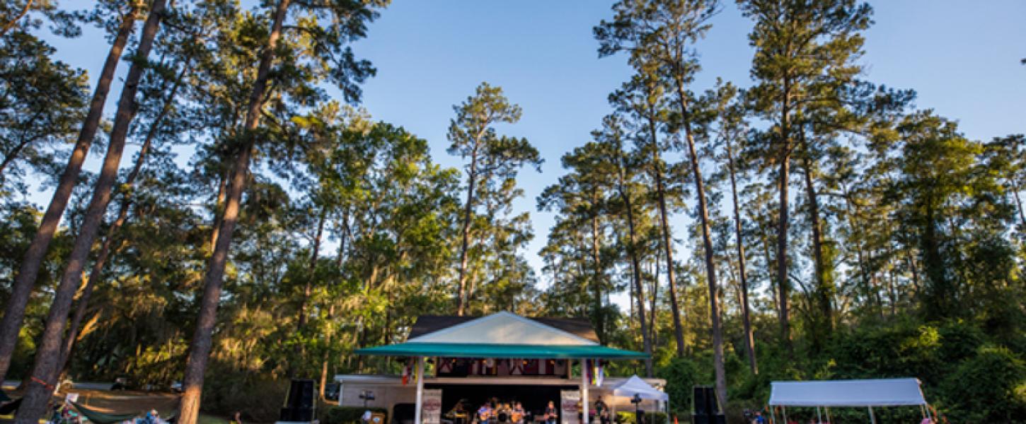 a large audience gathers around a stage under pine trees